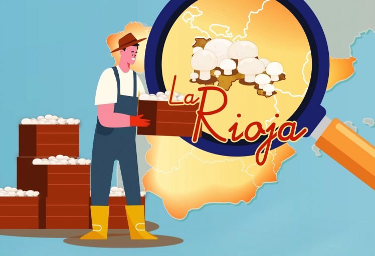 video proyecto Go Champlast