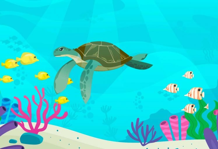 animacion 2D - aimplas - bioIcep